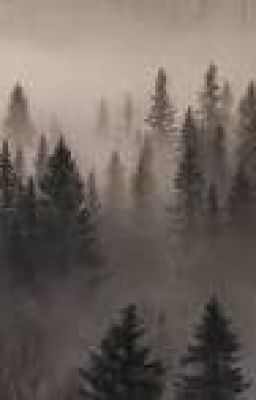 моменты из саморола/патрик+тимур и их стая/северинстоун.