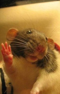 Гарри Поттер и Т/и