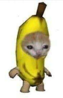 подкастеры тройничок