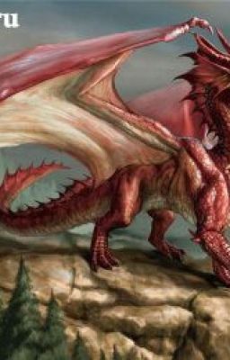 Жизнь Дракона