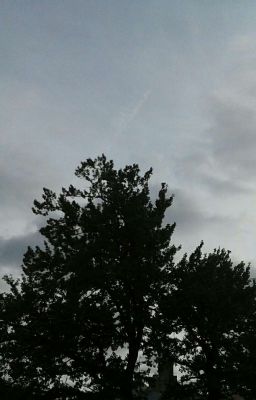 Победа + 9 жизней