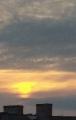 История с Джо