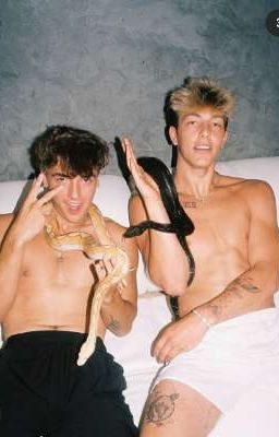 💕🧸Это больше чем дружба?💕🧸(Закончен)