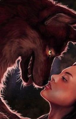 Никогда не сдавайся