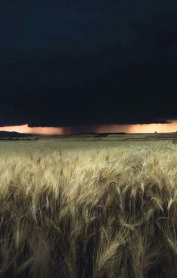 Истинная красота 