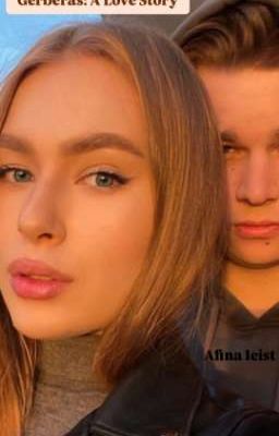 Герберы: история любви