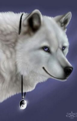 Академия Оборотней