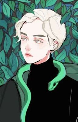 _малиновый закат_