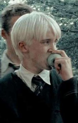 дневник слизеринца драко малфой 