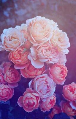 "Особая школа"