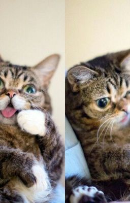 Я и моя тень