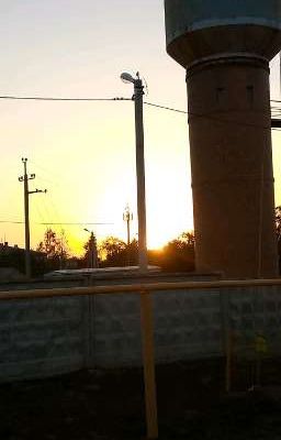 змей и его мышка