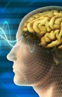 Мировоззрение Личности 2