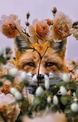 По следам вампиров