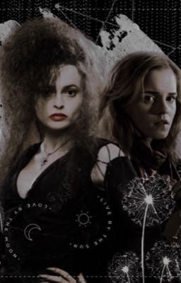 Перелетные птицы 