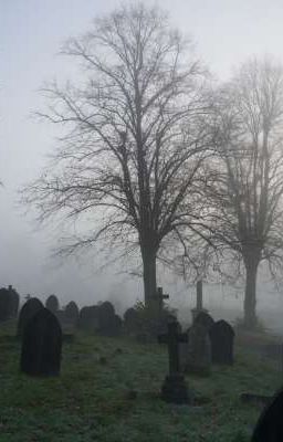 Боль,Отречения, Тоска. 