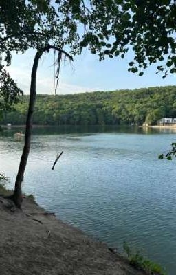 Счастливые ли это моменты? 