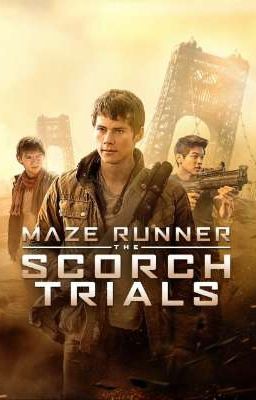 Новое будущие