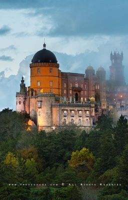 Студентка академии познаний .