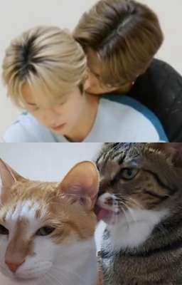 "Хоть что-то от школы полезное" 