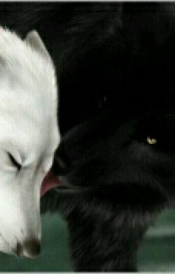 Он мой Альфа