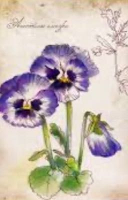 Говорящие с духами