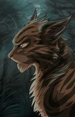 звёздные небеса