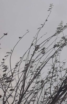 Бал изменивший мою жизнь 