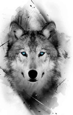 Когда в жизни бардак