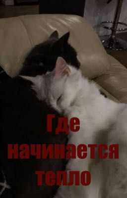 Где начинается тепло