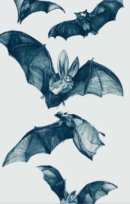 Трансформеры:Прайм.Тайна ночи или вампир-полукровка