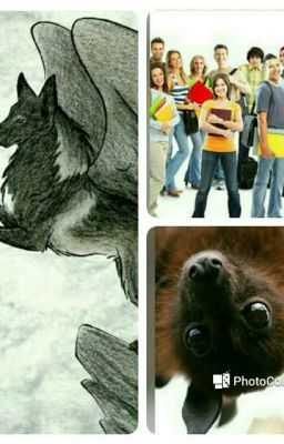 Битва Трех  Кланов