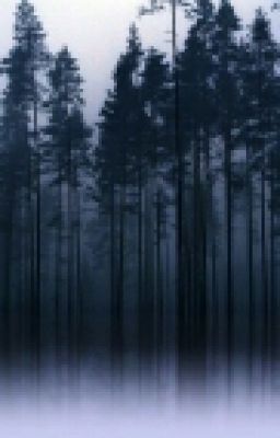 Малиновое вино 