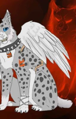 Мы - альфа волки