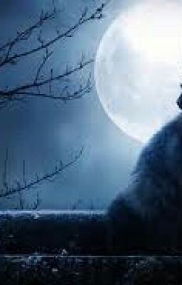 Мрак Вампиров.