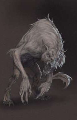  Охотники на Оборотней