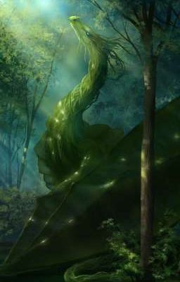 Заповедник в Румынии 