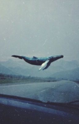 иллюзия любви