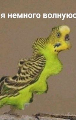 Гороскопы? А ну окей 😂