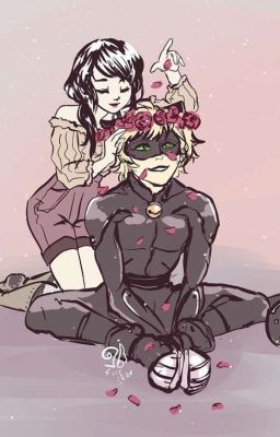 " А всё начиналось так хорошо..."