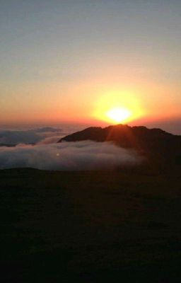 Пастух(Viehknecht)