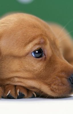 Это была школа...