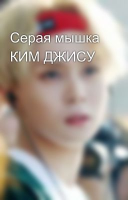 Серая мышка КИМ ДЖИСУ