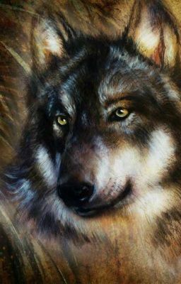 Истинная пара волка