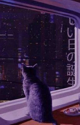 ✨В мир моды любой ценой✨