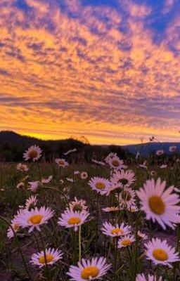 Мы гордимся тобой, воин!