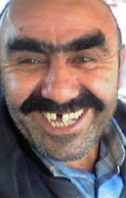 Приключения Ашота 