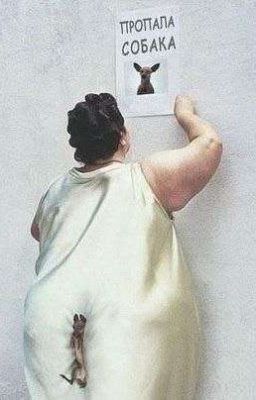 разные раты, и мемы 