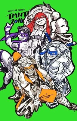 Черепашки-ниндзя и дурында