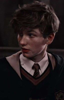 Т/И Саламандер